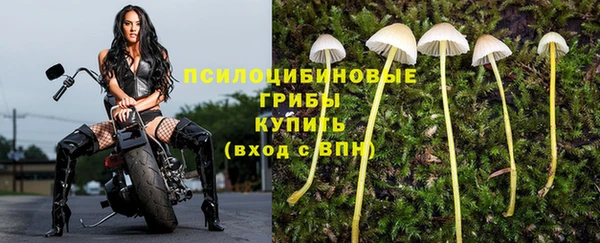 герыч Абаза