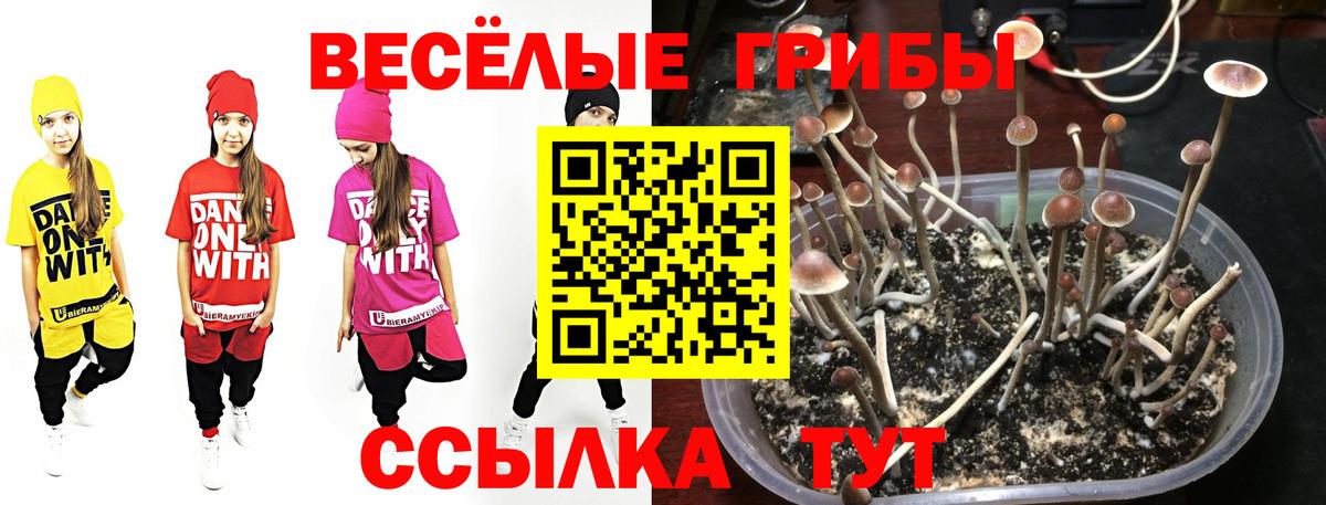 Псилоцибиновые грибы Magic Shrooms Алапаевск
