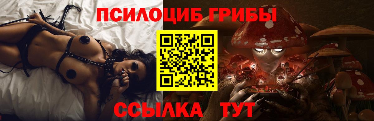 Псилоцибиновые грибы Cubensis  Вход с VPN  наркота  Алапаевск 
